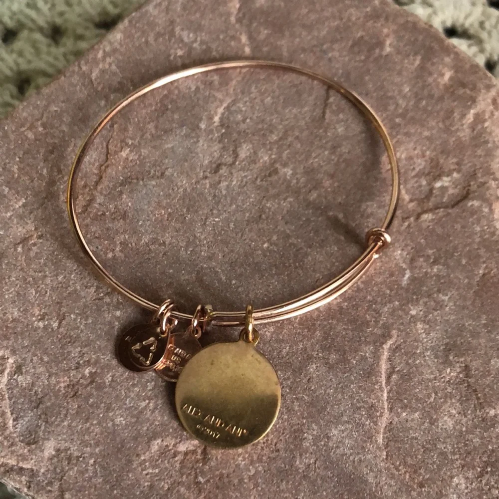Alex and Ani - Mind Over Matter Rose Gold Bangle Charm Bracelet